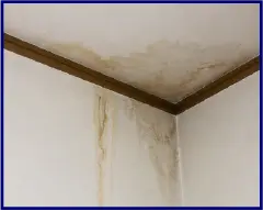 雨漏り